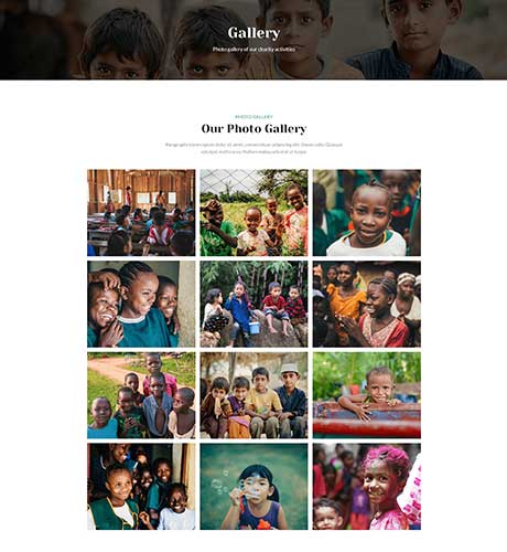 Gallery - Charity
