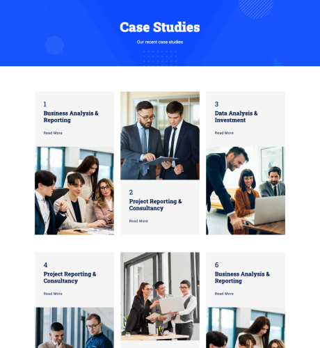 Case Studies - Business Consultation
