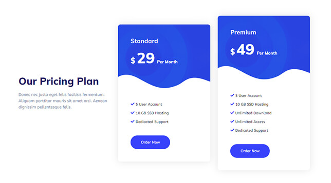 Pricing 11