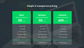 Pricing 1