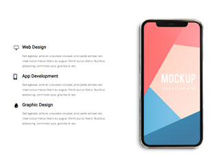 Feature 9
