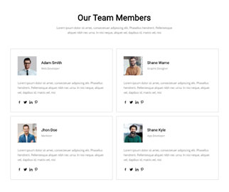 Team 11